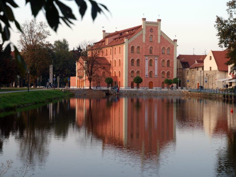 Endodontické ošetření od A do Z